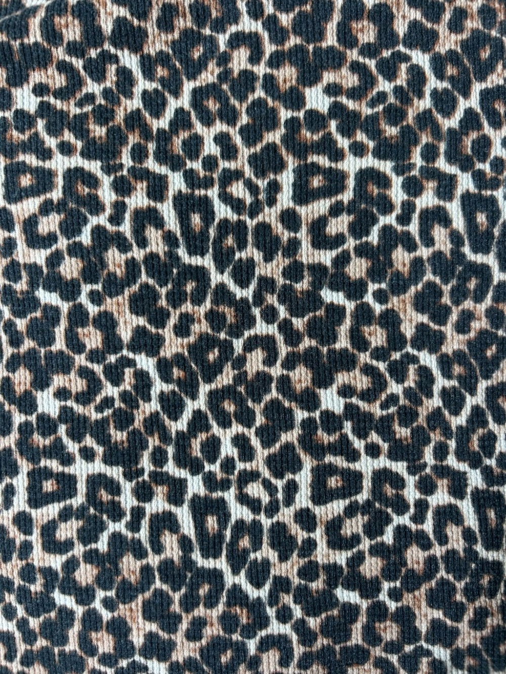 American Eagle Leopard Print Mesh Lettuce Edge Crop Top Short Sleeve - Picture 4 of 4
